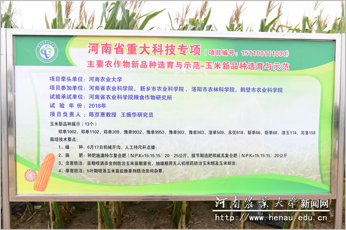 ��Ŀ������