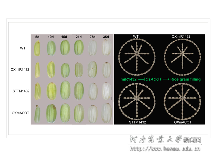 91�Թ���ص�����ͼ��