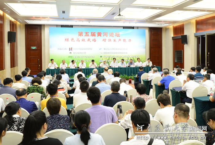 �����ƺ���̳